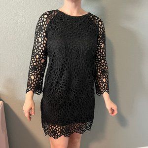 NWT Zara woman lace shift dress